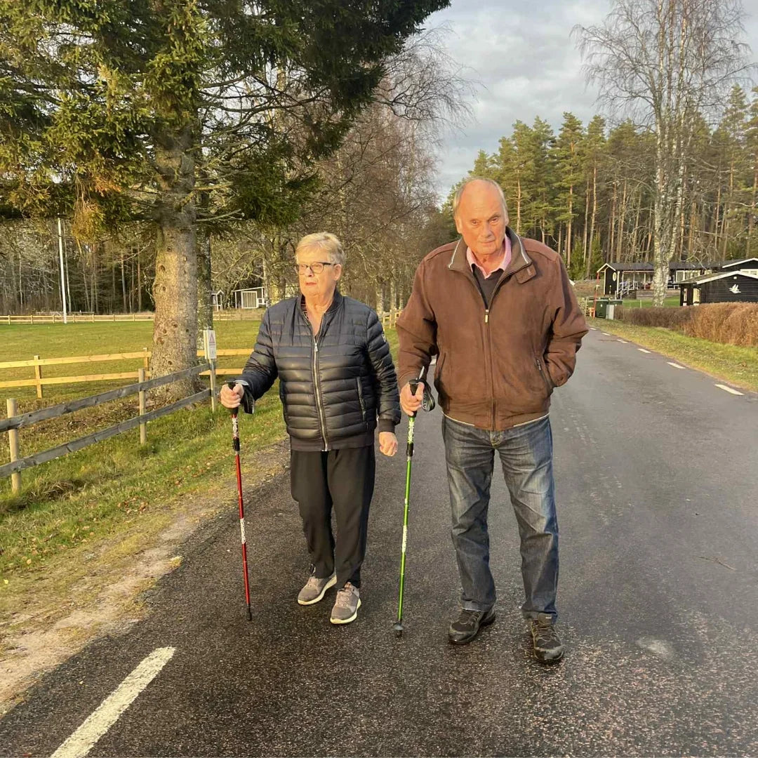 ErgiloPole - Hopfällbar vandringsstav
